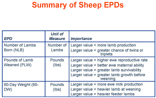 Summary of Sheep EPDs 1