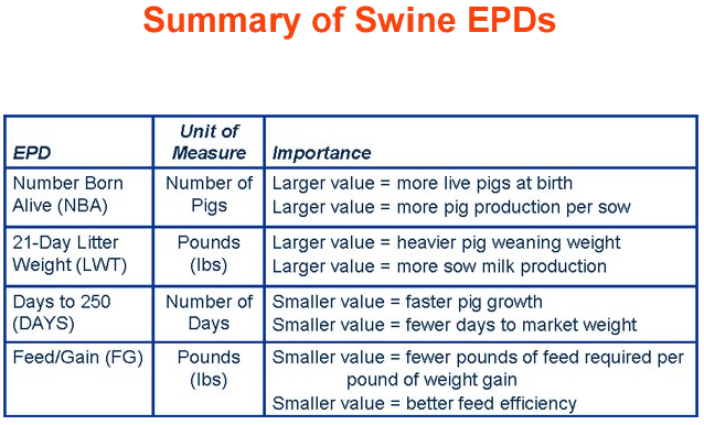 Summary of Swine EPDs 1