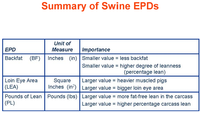 Summary of Swine EPDs 2