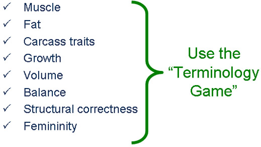 Terminology Game