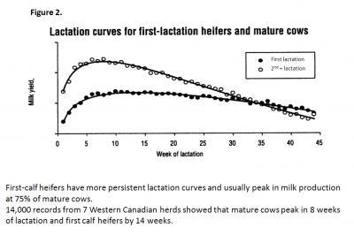 Lactation Curves for first lactation heifers and mature cows