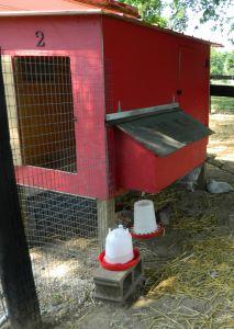 Urban Poultry House