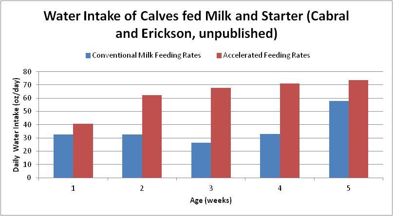 Water Intake of Calves Fed Milk and Starter