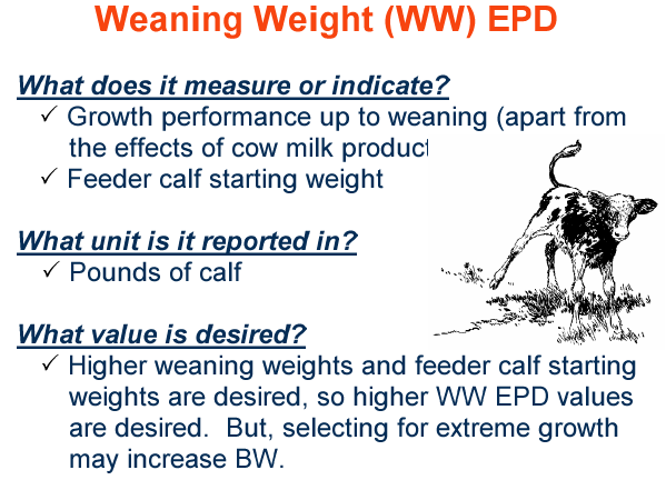 Weaning Weight EPD