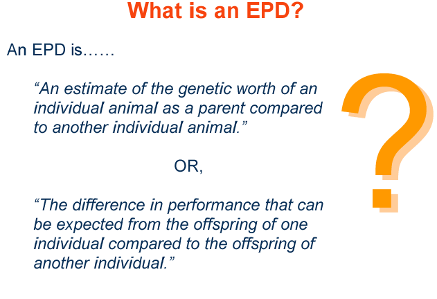 What is an EPD
