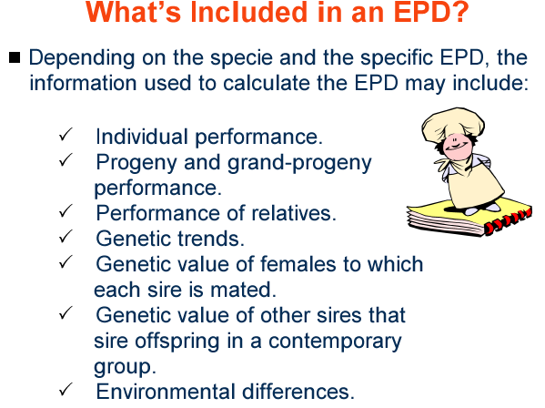 Whats included in an EPD