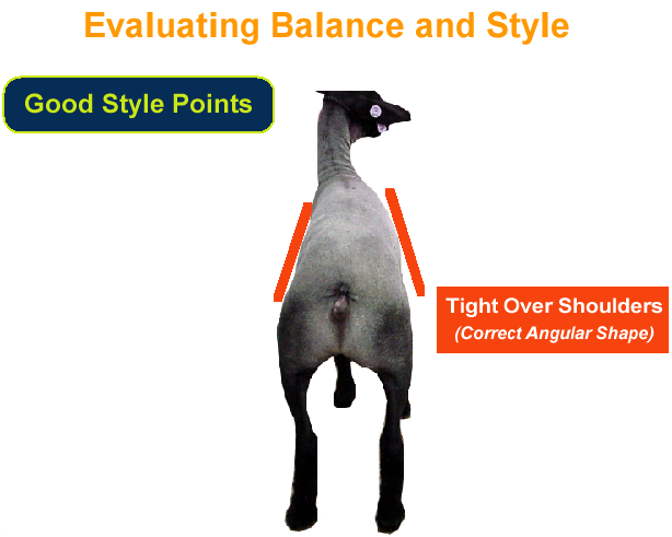 Evaluating Balance and Style Good Style Points