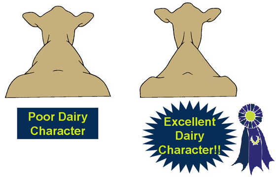 Illustration of dairy character