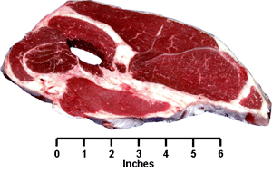 Beef - Retail Cut - Chuck Arm Steak (boneless)