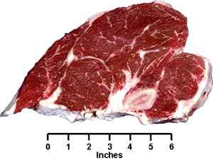 Beef - Retail cuts - Loin Round Bone Sirloin Steak