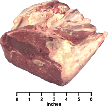 Leg Sirloin Half