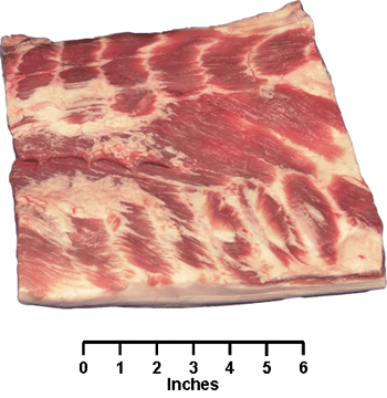 Swine - Retail Cut - Fresh Side Pork