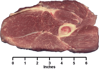 Shoulder Arm Steak