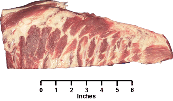 Spareribs