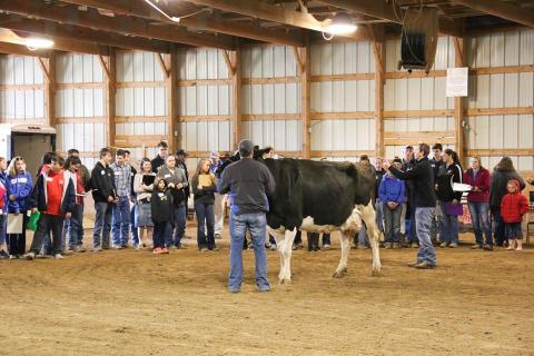 State 4-H Dairy Cow Camp