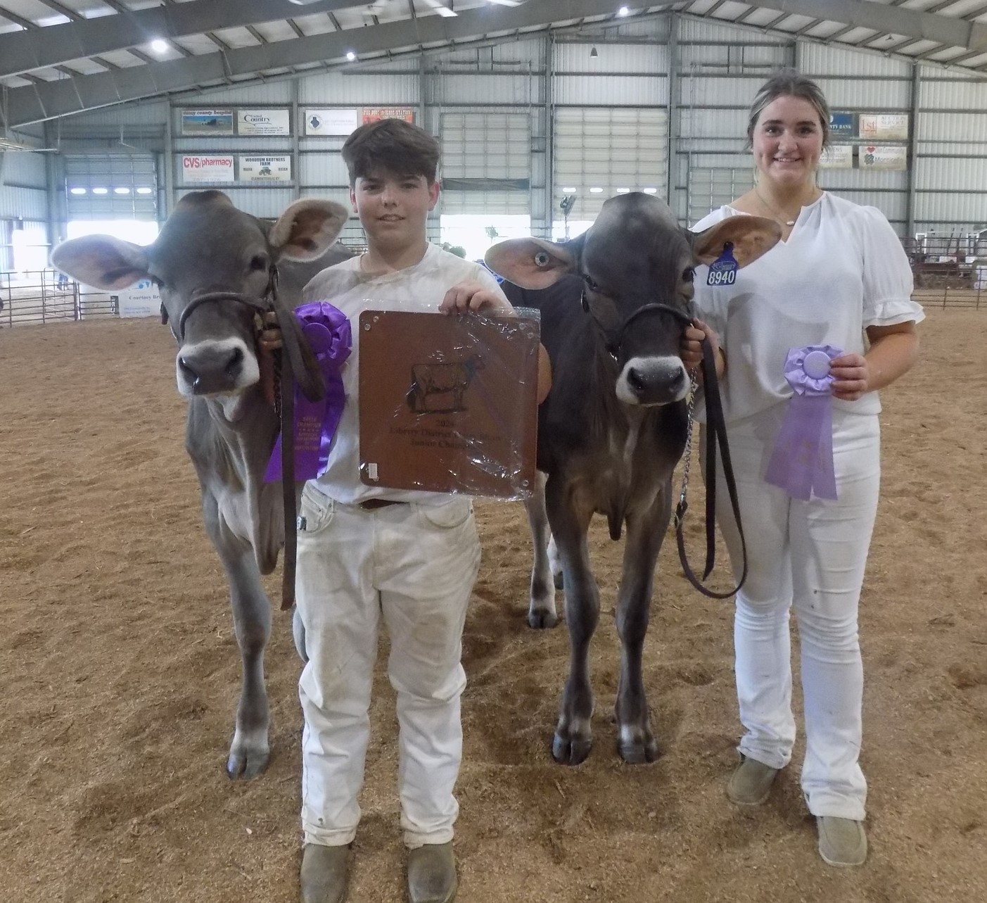 Showing Dairy Cattle