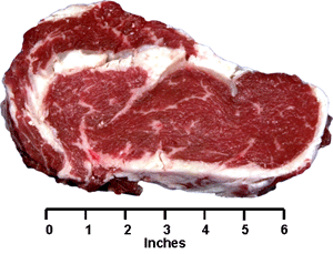 Beef - Retail Cut - Ribeye Steak