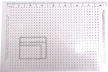 Loin Eye Area Grid