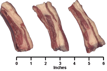 Breast Riblets