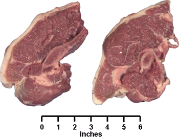 Leg Sirloin Chops