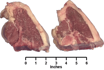 Loin Chops