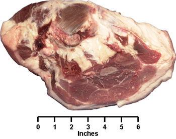 Swine - Retail Cut - fresh ham rump portion