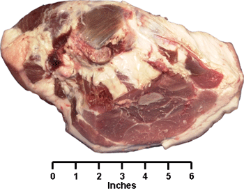 Fresh Ham Rump Portion