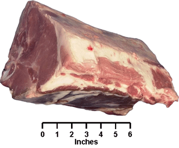 Loin Center Loin Roast