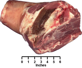 Shoulder Arm Picnic Roast
