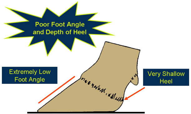 Illustration of foot angle and depth of heel