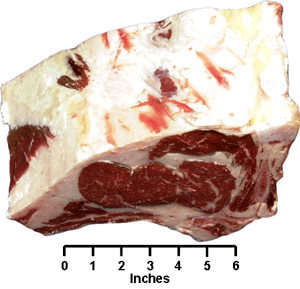 Beef - Retail Cut - Rib Roast (small end)