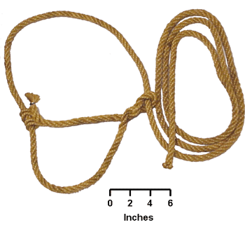 Rope Cattle Halter
