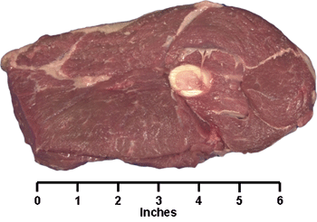 Leg Center Slice