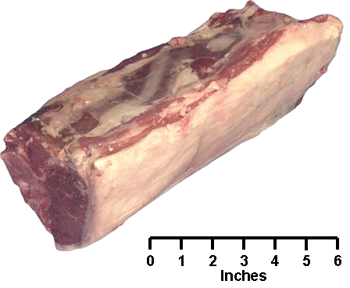 Loin Roast