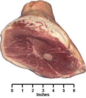 Fresh Ham Shank Portion