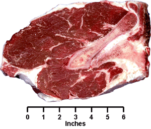 Beef Cattle Discovery - Retail Cuts - Loin Flat Bone Sirloin Steak