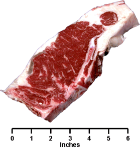 Beef - Retail Cuts - Loin Top Loin Steak