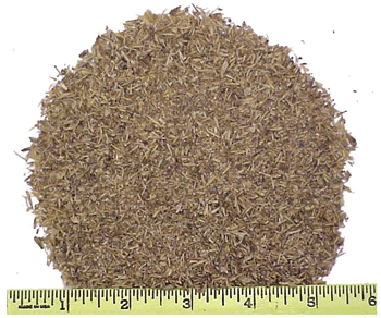 Brewers Dried Grain