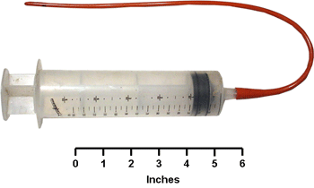 Lamb Feeding Tube