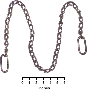 Obstetrical (O.B.) Chain