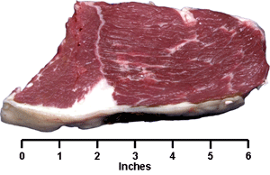 Beef - Retail Cuts - Round bottom Round Steak