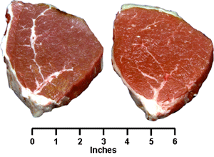 Beef - Retail Cuts - Round Eye Round Steak