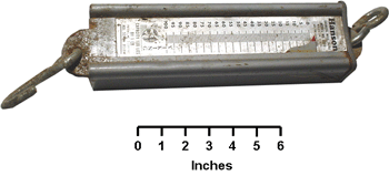 Hanging Scale