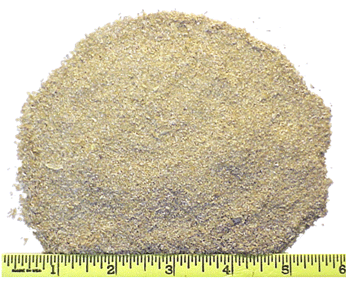 Wheat Middlings
