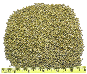Whole Millet