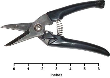 Saboten Hoof Trimmer