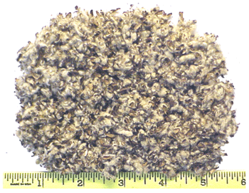 Cottonseed Hulls