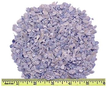Oyester Shells