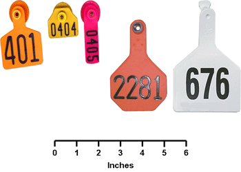 Ear Tag