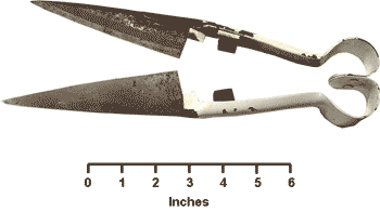 Hand Sheep Shears